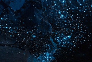 Visite privée de 5 jours de l'île du Sud de la Nouvelle-Zélande au départ de Queenstown