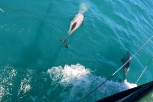 Visite privée de 5 jours de l'île du Sud de la Nouvelle-Zélande au départ de Queenstown