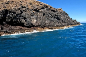 Visite privée de 5 jours de l'île du Sud de la Nouvelle-Zélande au départ de Queenstown