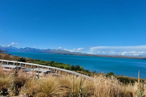 Visite privée de 5 jours de l'île du Sud de la Nouvelle-Zélande au départ de Queenstown
