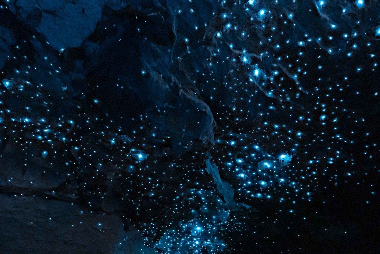 ダニーデンからクライストチャーチまでの5日間南島ニュージーランドツアー