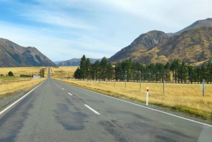 Circuit de 5 jours dans l'île du Sud de la Nouvelle-Zélande, de Dunedin à Christchurch
