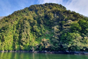 Circuit de 5 jours dans l'île du Sud de la Nouvelle-Zélande, de Dunedin à Christchurch