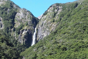 Arthurin sola: Castle Hill -päiväretki: TranzAlpine-juna ja Castle Hill -päiväretki