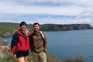 Christchurch: piesza wycieczka z przewodnikiem po Godley Head i Lyttelton