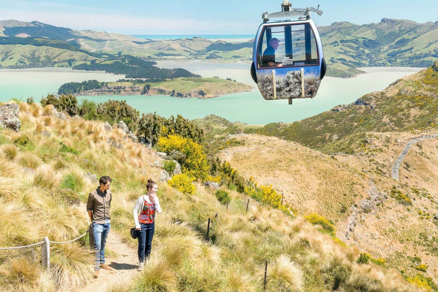 Combo de tour de la ciudad en góndola y tranvía por Christchurch