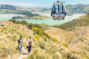 Christchurch Gondola i tramwajowa wycieczka po mieście w zestawie