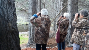 Evening Penguin Tours