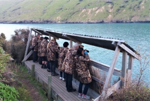 Evening Penguin Tours