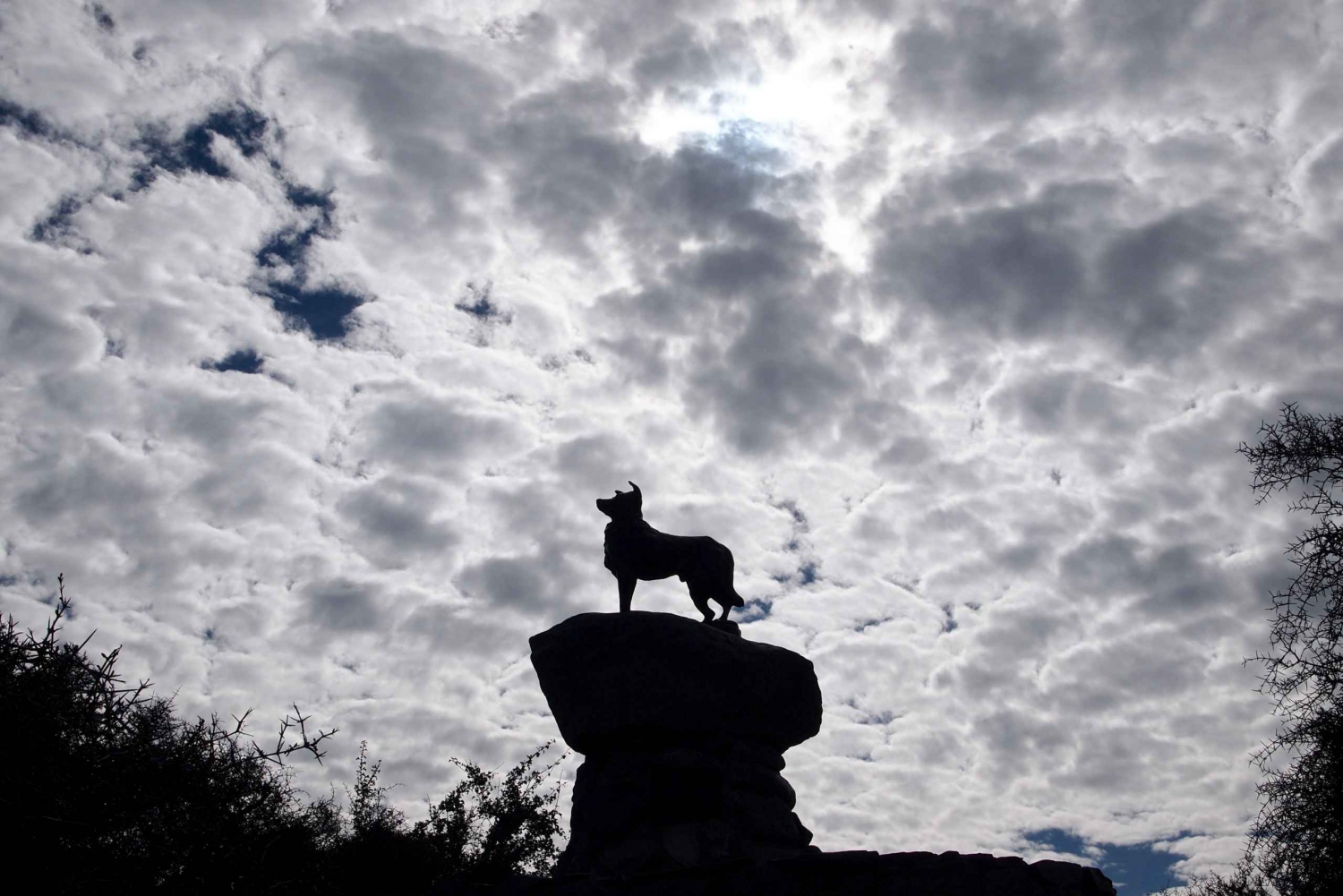 Christchurch: a Queenstown vía Mt Cook, tour de ida