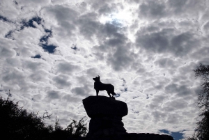 Крайстчерч: в Квинстаун через гору Кук, тур в одну сторону