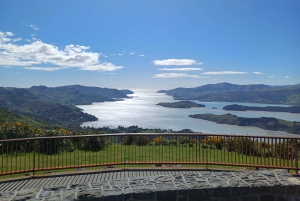 Tour en grupo reducido de 1/2 día por los lugares más destacados de Christchurch