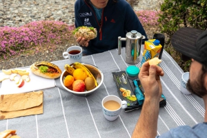 Tour en grupo reducido de 1/2 día por los lugares más destacados de Christchurch
