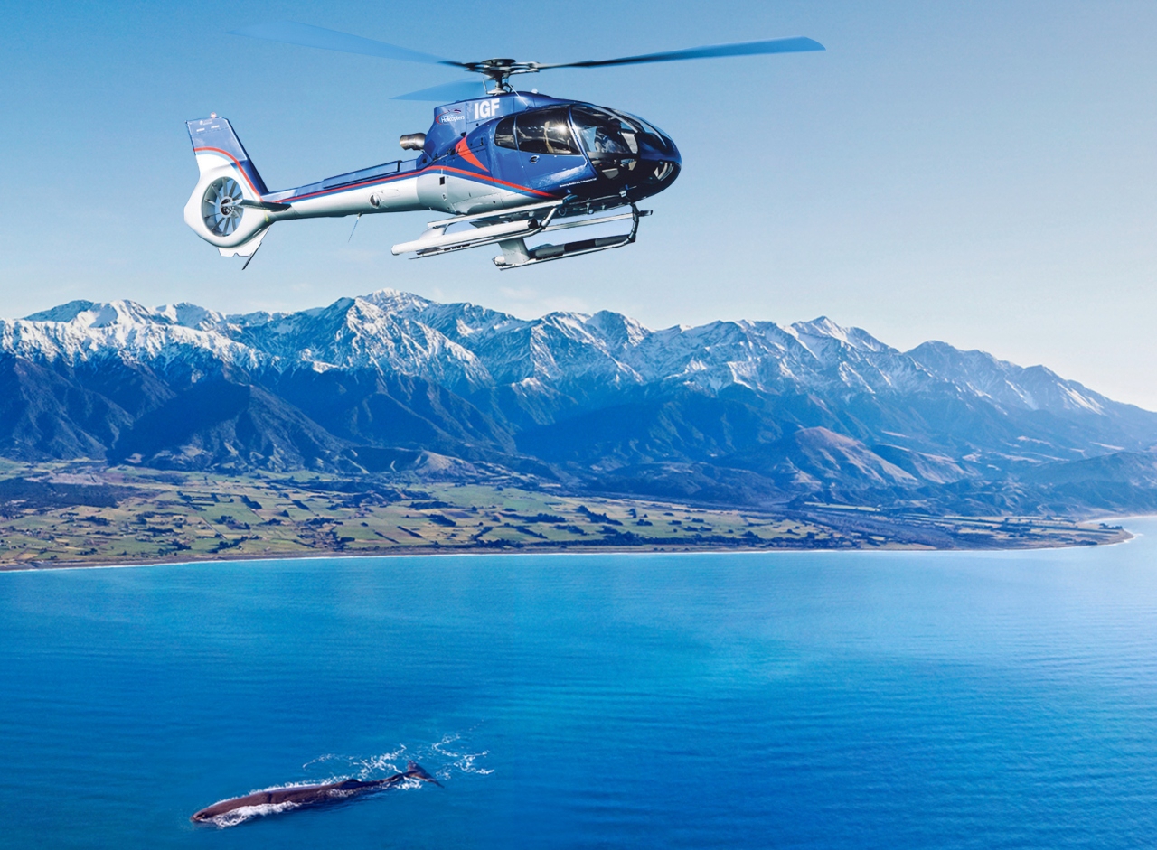Tour en helicóptero de ballenas en Kaikoura