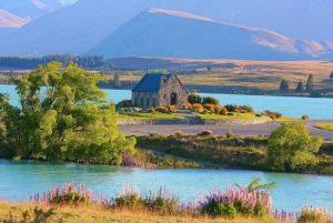 Tour de 1 día al monte Cook y al lago Tekapo desde Christchurch
