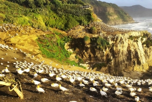 Nueva Zelanda: tour privado de 9 días con 14-16 actividades