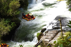 Nueva Zelanda: tour privado de 9 días con 14-16 actividades
