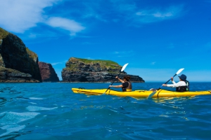 Sea Kayaking Safari