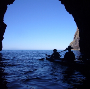 Sea Kayaking Safari