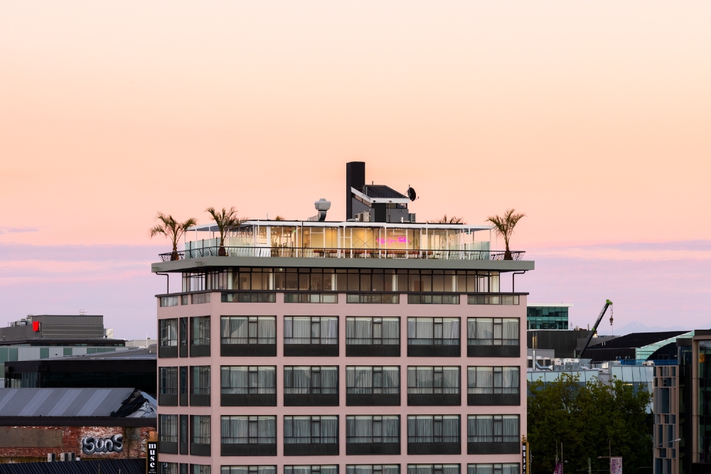 El Bar en la Azotea de la Dama Rosa
