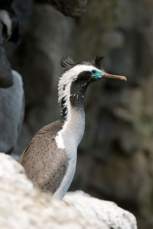 Wildside Discovery Tours