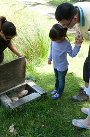 Wildside Discovery Tours