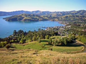 Wildside Discovery Tours