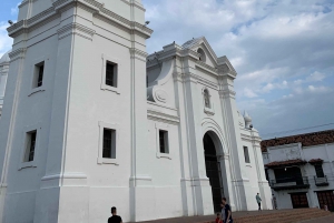 Una perla en el Caribe - tour a pie en inglés