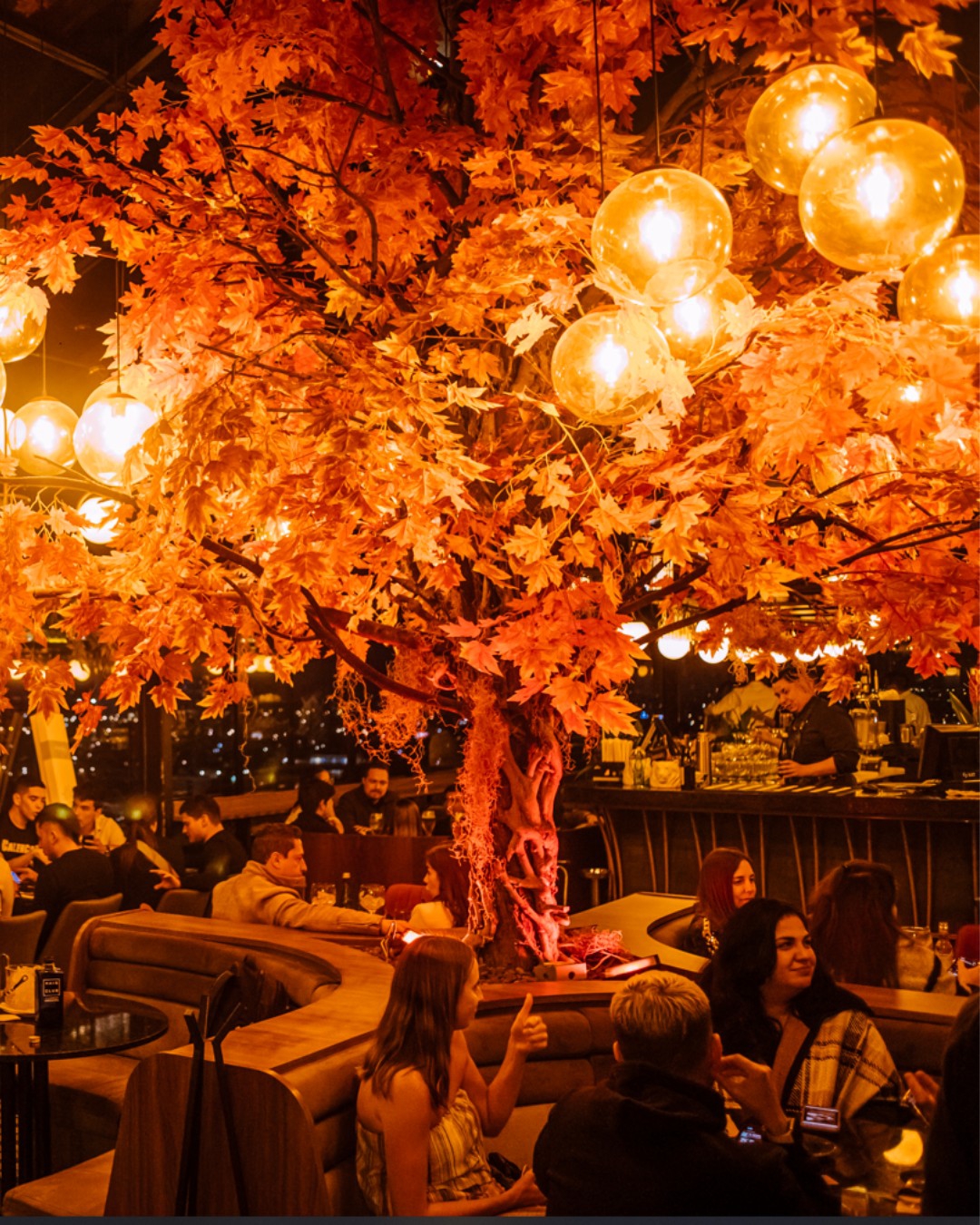 Lo mejor para tomar una copa en Colombia.