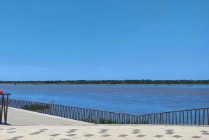 Barranquilla: 6-Hour Downtown Tour & River Avenue Boardwalk