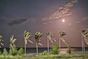 Barranquilla Unveiled: A Hidden Gem City Tour