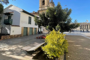 Bogotá: Arkkitehtuurin ja sisustussuunnittelun kuvauskurssi iPhonella