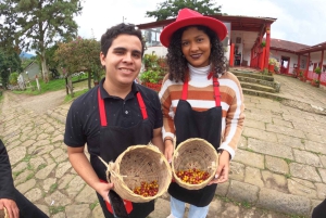Bogotá: Colombian Coffee Tour with Farm daily departure
