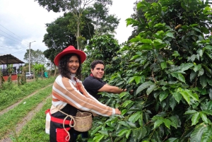 Bogotá: Colombian Coffee Tour with Farm daily departure