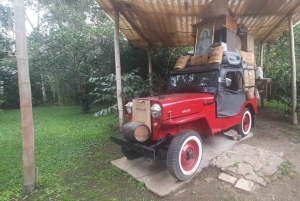 Bogotá: Colombian Coffee Tour with Farm daily departure