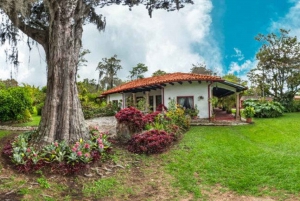 Bogotá: Colombian Coffee Tour with Farm