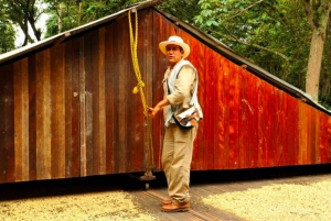 Bogotá: Colombian Coffee Tour with Farm