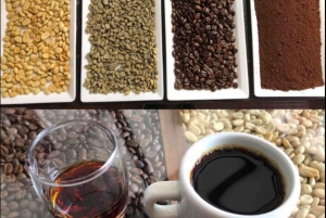 Bogotá: Colombian Coffee Tour with Farm