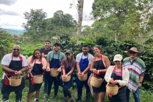 Bogotá: Colombian Coffee Tour with Farm