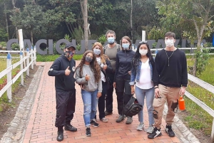 Bogota: Guatavita and Salt Cathedral Daily Group Tour