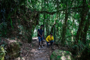 La Chorrera en Chiflon watervallen privéwandeling