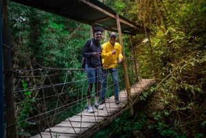 La Chorrera en Chiflon watervallen privéwandeling