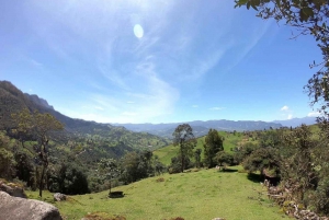 La Chorrera en Chiflon watervallen privéwandeling