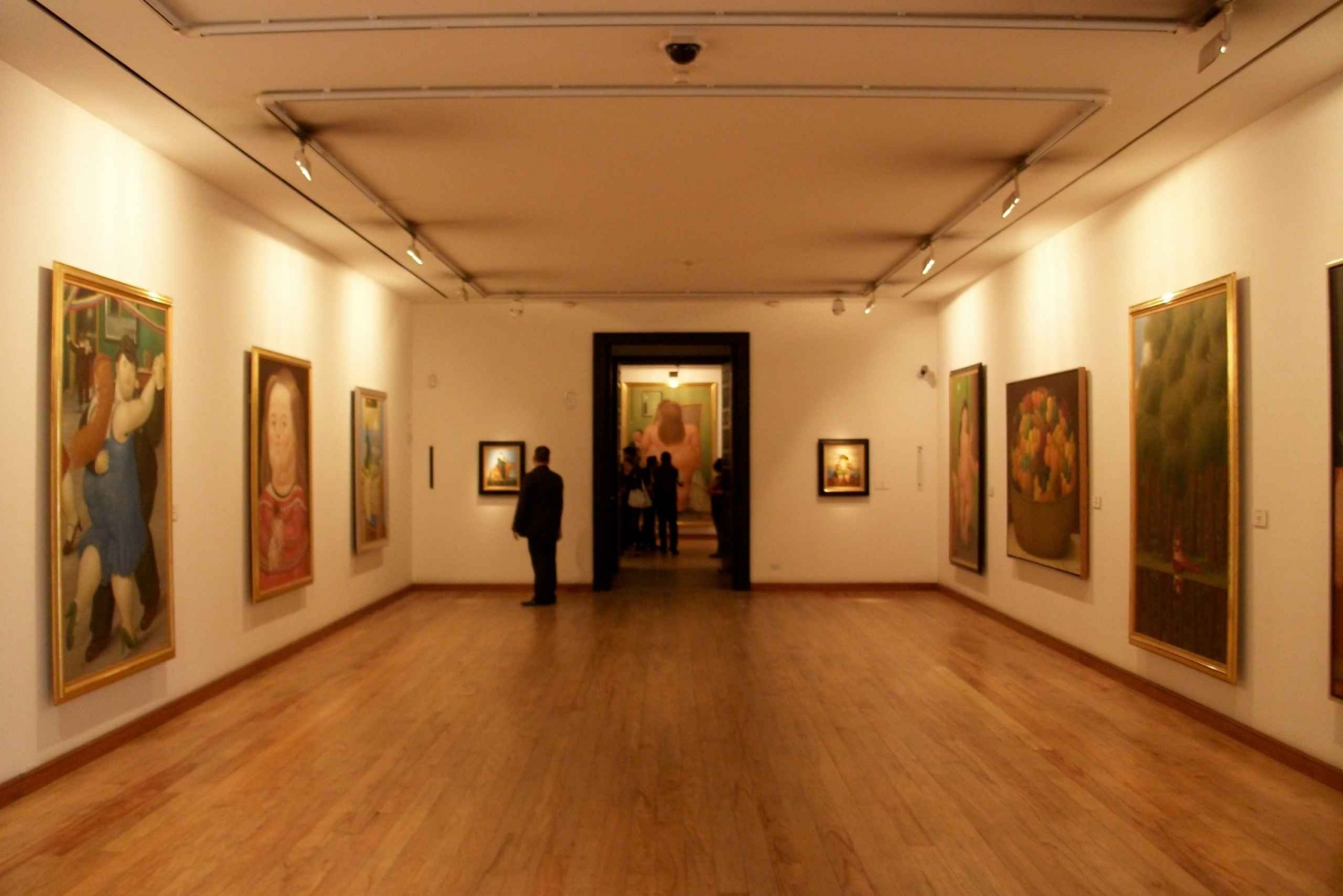 Tour con scalo a Bogotà: Tour privato e flessibile della città