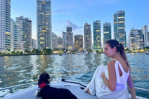 Картахена: VIP-тур по заливу на закате с открытым баром и клубом