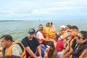 Cartagena: 5 Rosario-saarta snorklauksella ja planktonilla – parasta, mitä tarjolla on