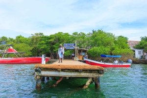 Cartagena: 5 Rosario-saarta snorklauksella ja planktonilla – parasta, mitä tarjolla on