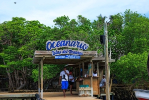 Cartagena: 5 Rosario-saarta snorklauksella ja planktonilla – parasta, mitä tarjolla on