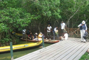 Cartagenassa: Purjehdus Cartagenan mangrovemetsissä: Purjehdus Cartagenan mangrovemetsissä