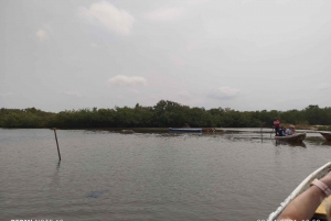 Cartagenassa: Purjehdus Cartagenan mangrovemetsissä: Purjehdus Cartagenan mangrovemetsissä